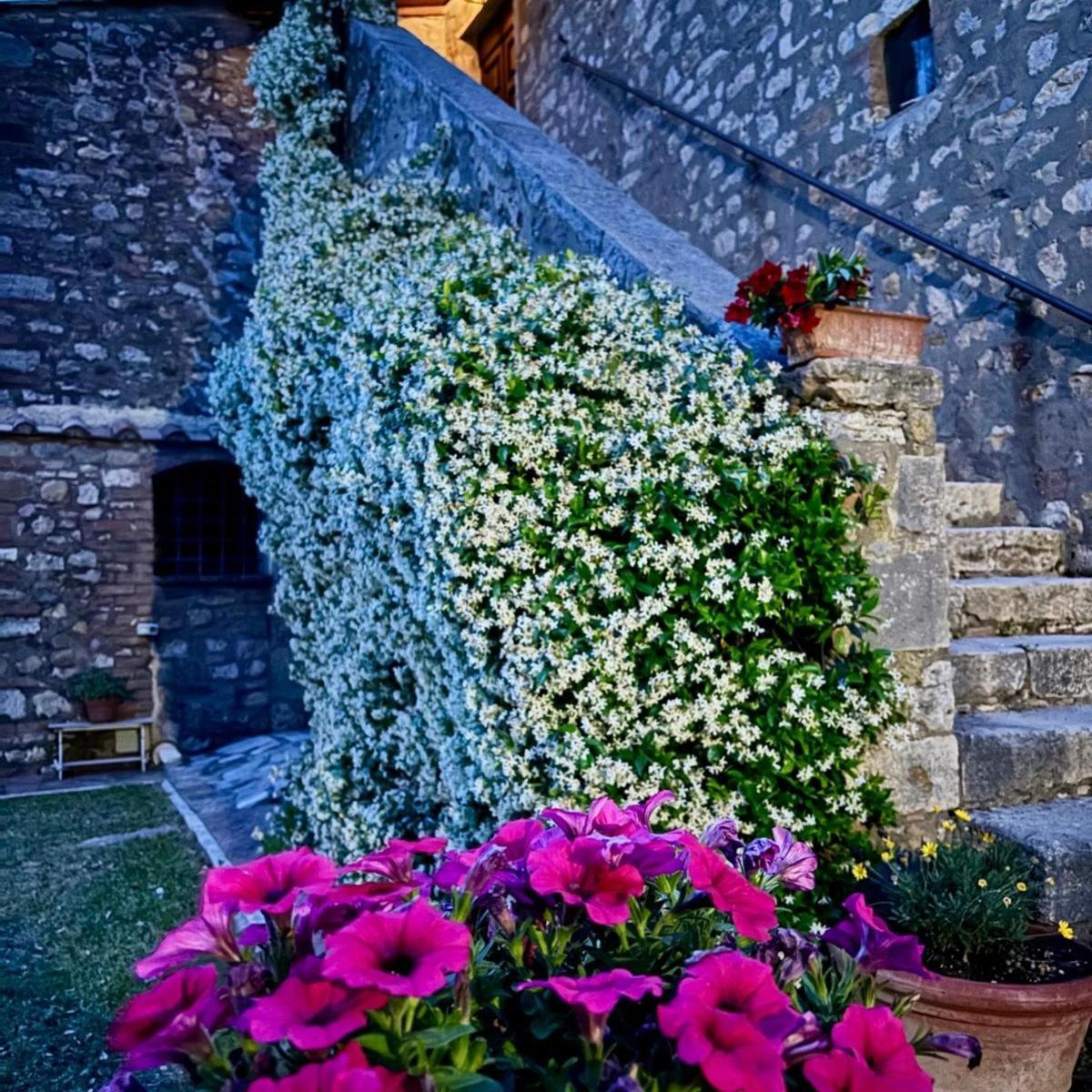 Residenza Santa Maria In Borraccia Panzió Magliano in Toscana Kültér fotó