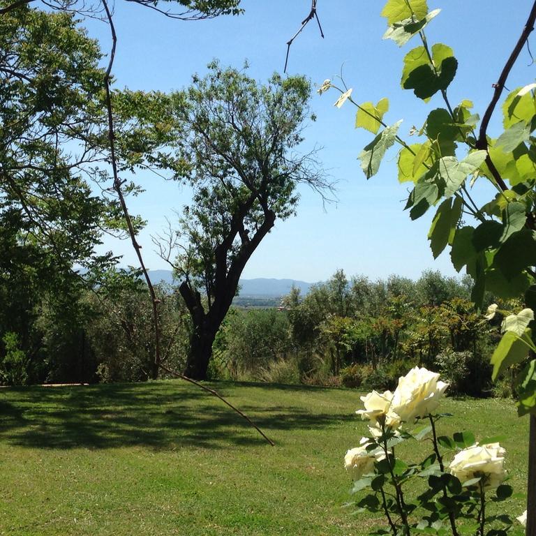 Residenza Santa Maria In Borraccia Panzió Magliano in Toscana Kültér fotó