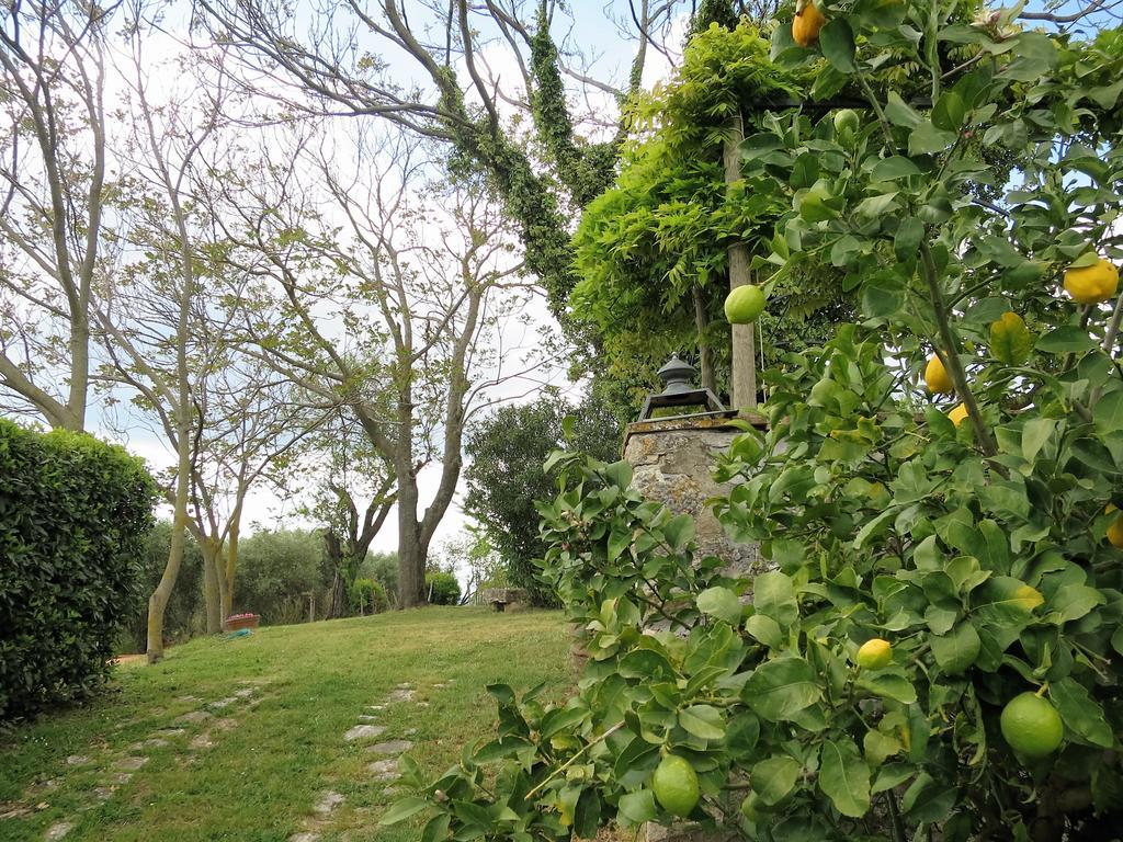 Residenza Santa Maria In Borraccia Panzió Magliano in Toscana Kültér fotó