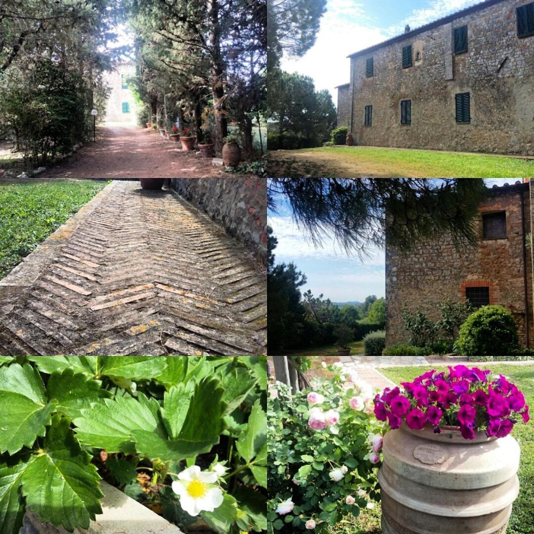 Residenza Santa Maria In Borraccia Panzió Magliano in Toscana Kültér fotó